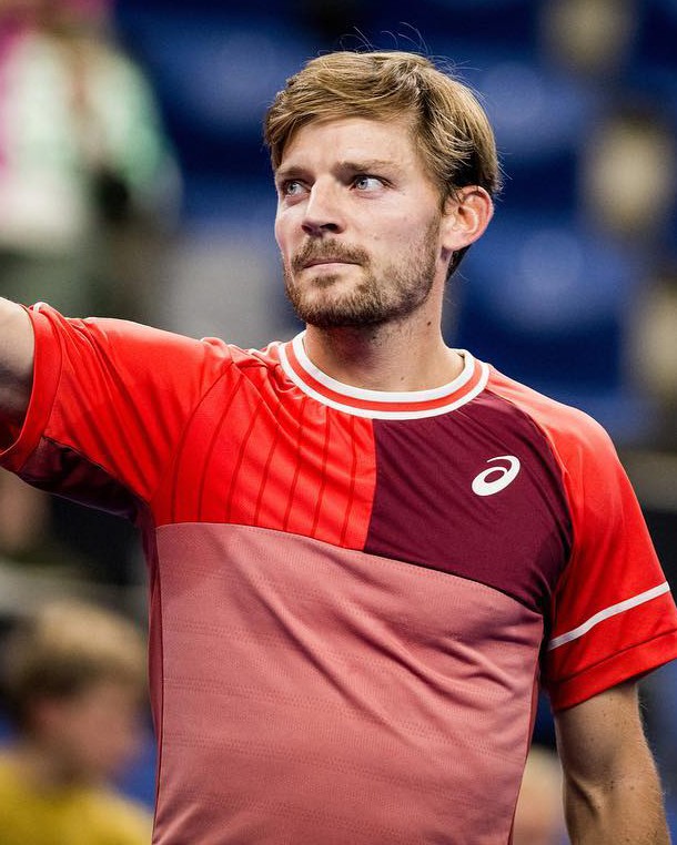 David Goffin